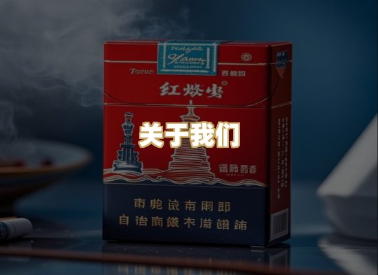 关于我们